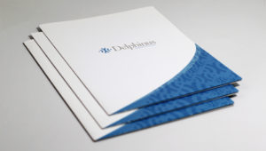 Delphinus Brochure Design