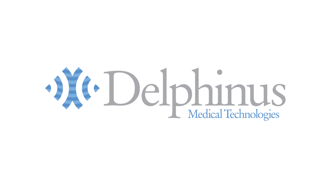 Delphinus Corporate Branding - Logo Design 